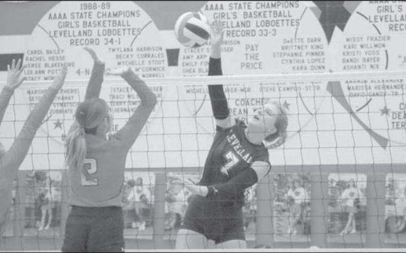 OFFENSE - Levelland Loboette Addisen Campbell sent down a shot for the Loboette offense in their clean-sweep win this past Tuesday. The Loboettes protected home court by defeating the Lady Cubs. (Staff photo by Aalijah Soliz)