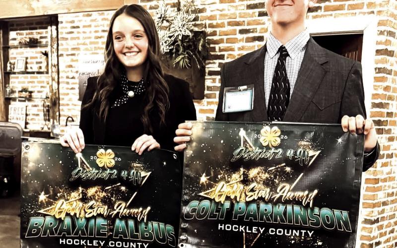 Hockley County 4-H Gold Star Awards