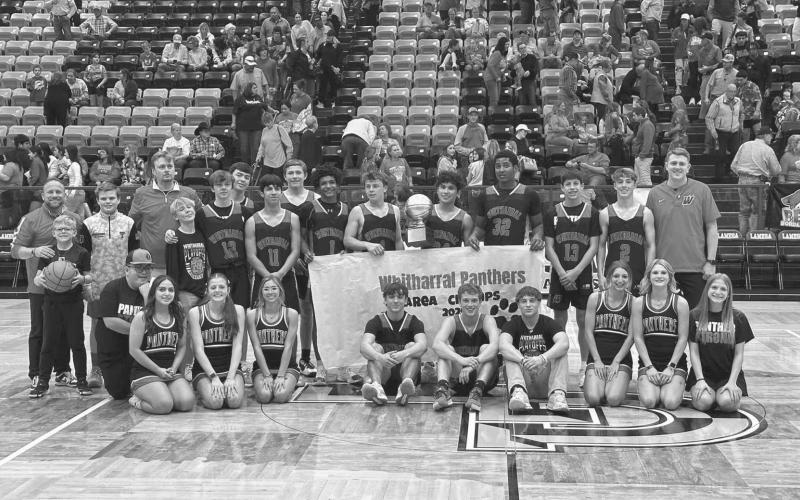 AREA CHAMPS - The Whitharral Panthers took on the Borden County Coyotes this past Friday in Lamesa for their area round of playoffs where the Panthers won 55-47. The Panthers faced off against the Klondike Cougars this past Friday for the team’s regional quarterfinal matchup at Frenship High School in basketball playoffs. (Photo courtesy of Whitharral ISD)