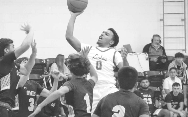 FLOATER - Levelland Lobo Jayden Castillo shot the ball over the Hale Center Owl defense during the teams contest last week in the Littlefield Tournament. (Staff photo by Aalijah Soliz)