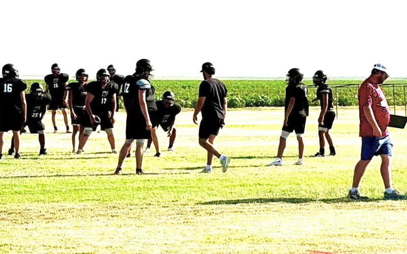Whitharral Panther Power - WHS football, cheerleading and cross country were getting into the “full season swing” for the upcoming season with Panthers students working hard at foootball practice and cheerleading as the beginning of school approaches.