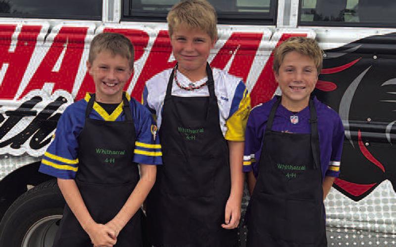 Hockley County 4-H teams place at District Food Challenge