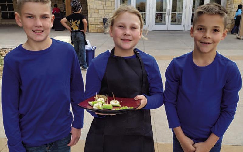 Hockley County 4-H teams place at District Food Challenge