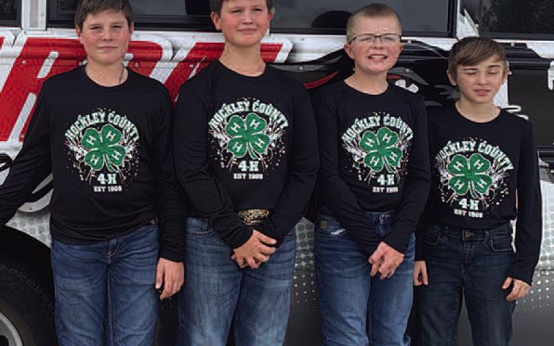 Hockley County 4-H teams place at District Food Challenge