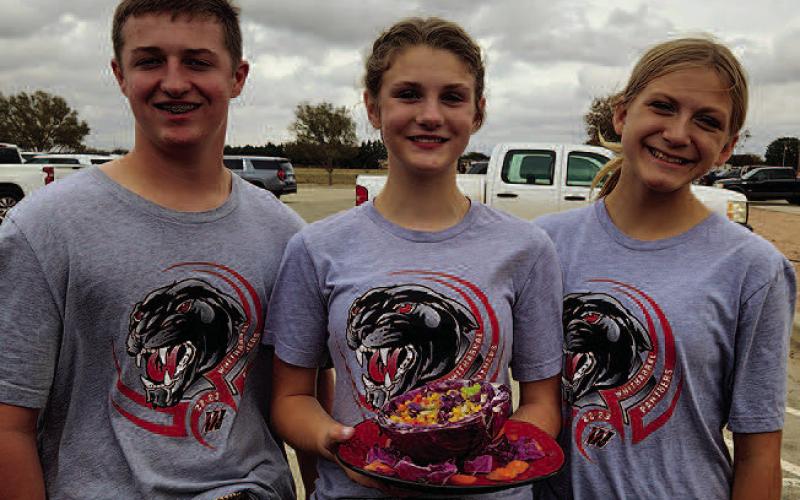 Hockley County 4-H teams place at District Food Challenge