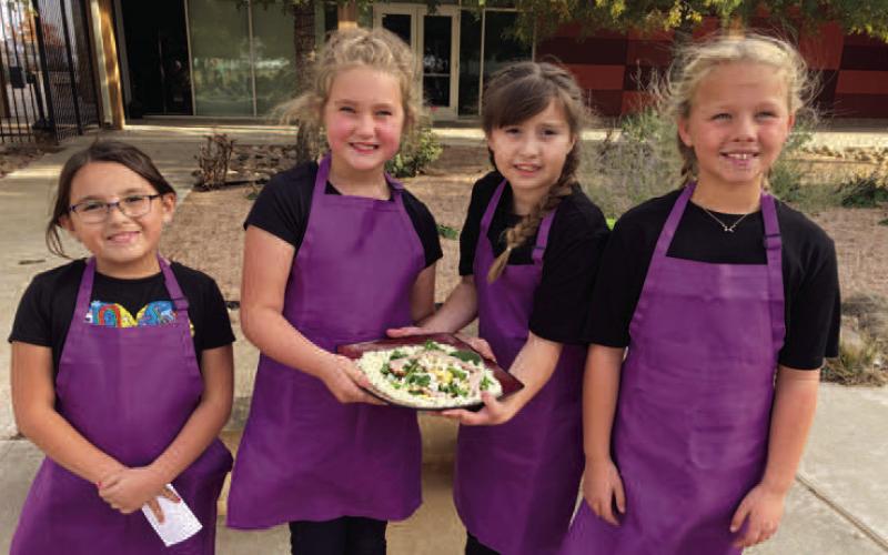 Hockley County 4-H teams place at District Food Challenge