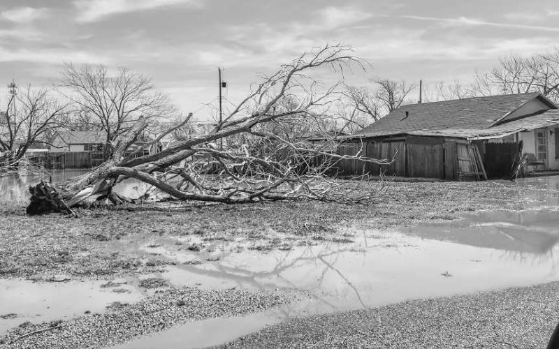 EXTREME WINDS, RAINFALL– Flooded areas around Levelland were a result of the heavy rain experienced from the early Wednesday morning storm. In addition to flooding, tree branches and entire trees were ripped up and scattered across various properties. (Staff photo by Dom Puente)