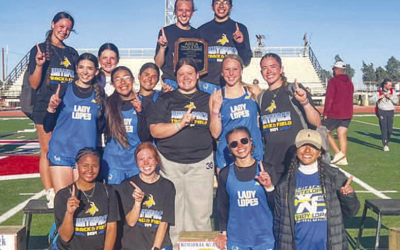 AREA CHAMPIONS - The Whiteface Lady Lopes Track team is moving onto regionals as these group was named Area Champions. The track meet was held April 10 in Sundown with both 1A and 2A boys and girls track teams competing. (Photo courtesy of Whiteface Booster Club)