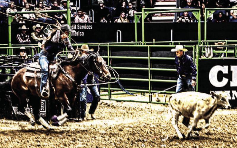 ALL OR NOTHING- South Plains College's Kassidy Robertson makes her final run in the breakaway roping short go round during the 2026 College National Finals Rodeo. (Photo from SPC Facebook page)