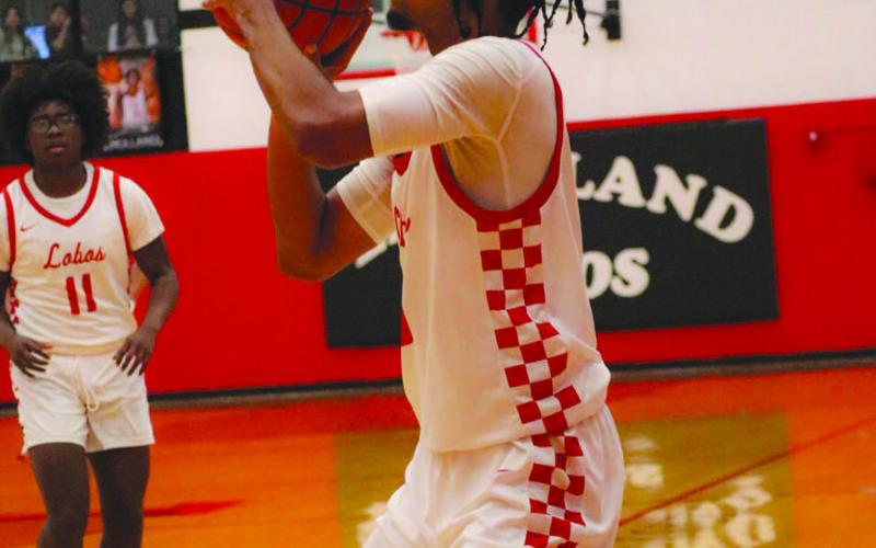 Lobos take tiebreaker win over Sweetwater
