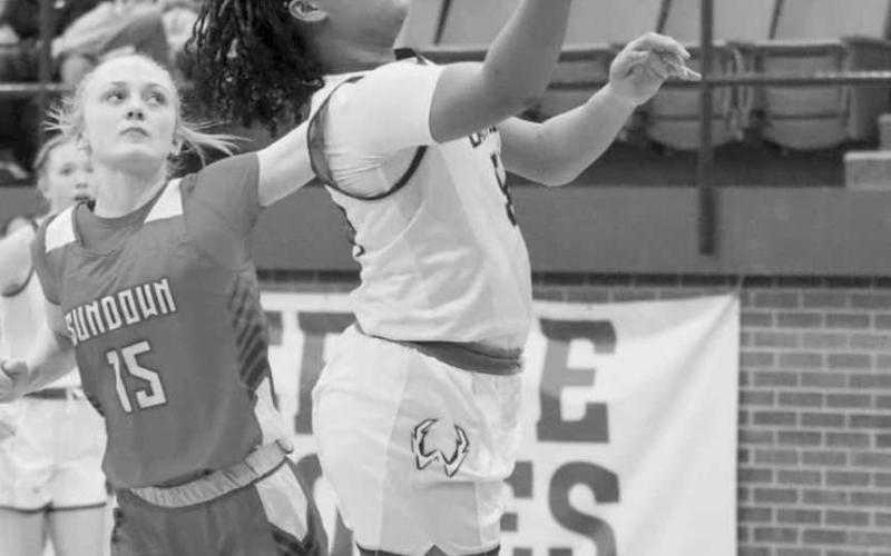 LAY UP - Whiteface Lady Lope Tymyah Olenga layed the ball up during the team’s district game against the Sundown Roughettes at home. (Photo courtesy of Holly Crutcher)