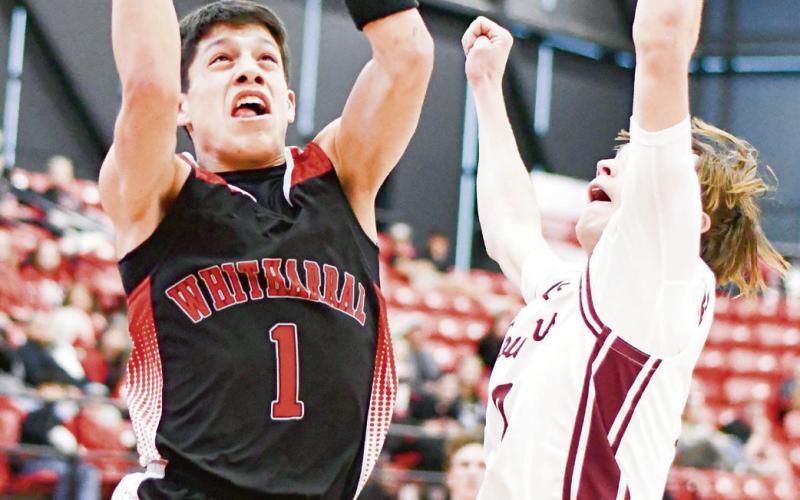 GOIN’ UP STRONG - Whitharral Panther Damian Rodriguez goes up to the basket strong with a Klondike defender in his face during their playoff basketball game this past Monday night at Brownfield High School. (Staff photo by Jentezen Smith)
