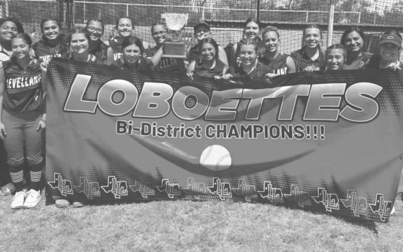 Loboette softball earns Area Round ticket