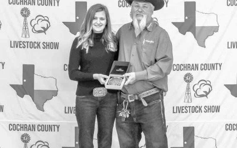 GRAND CHAMPION STEER- Maddison Bedford received a buckle donated by Joe and Lettie Roberts abd presented by Billy Joe Roberts this past weekend at the Cochran County Livestock Show. (Staff Photo by Essence Childers)