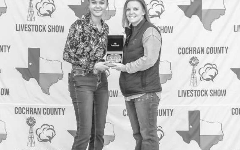 GRAND CHAMPION RABBIT- Gabby Brand was awarded a buckle donated and presened by Rose Equipment at the Cochran County Livestock Show this past weekend at the County Show Barn in Morton. (Staff Photo By Essence Childers)
