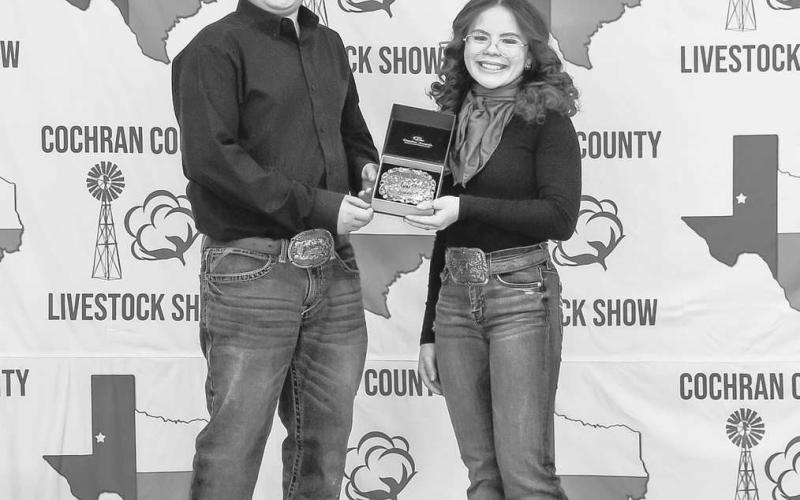 RESERVE GRAND CHAMPION LAMB - Briley Siemens was presented a buckle donated and presented by the Albus Family at the Cochran County Livestock Show. (staff photo by Essence Childers)