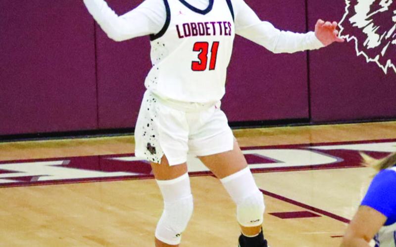 OUTLET PASS - Levelland Loboette Leilani Sanchez grabbed the rebound and sent the ball down the court during the teams fastbreak on the Olton Phillies this past Wednesday for the teams first game of the Littlefield Tournament. (Staff photo by Aalijah Soliz)