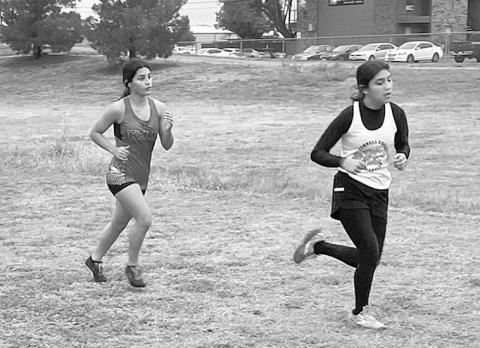 Levelland cross country competes