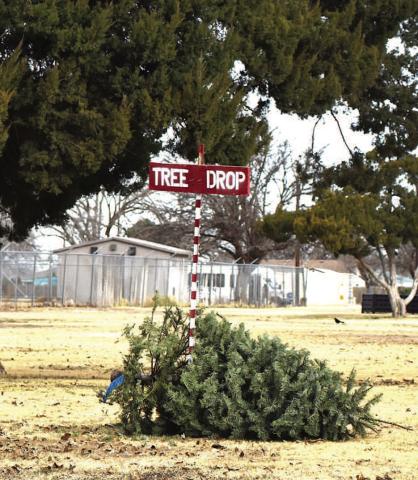 City offers holiday recycling