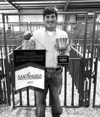 RESERVE GRAND CHAMPION