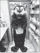 Lucky the Lobo gets a fresh new look