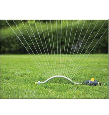 Signs lawn is not getting enough water