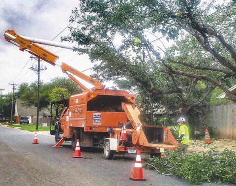 TREE LIMB CUTTING - A crew with Asplundh was working on cutting down tree limbs that were in the way of power lines on Wednesday in the Country Club area. (Staff photo by Emily Campos)