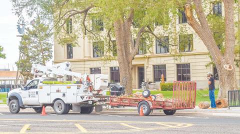 TREE MAINTENANCE- Tree Loving Care was on sight trimming tree limbs around the Hockley County Courthouse lawn on Saturday. A wood chipper was also being used for clearing out the limbs. Community members are encouraged to fill out applications for events if they choose to utilize the courthouse lawn. (Photo courtesy of Emily Campos)