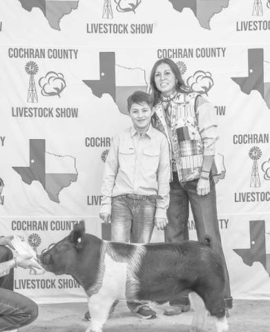 SHOWING SWINE - Sterling Evans with Cochran County 4H participted in the Cochran County Livestock Show this past Saturday. The event was held at the County Show Barn in Morton. (Staff photo by Essence Childers).