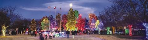 SPC TREE LIGHTING