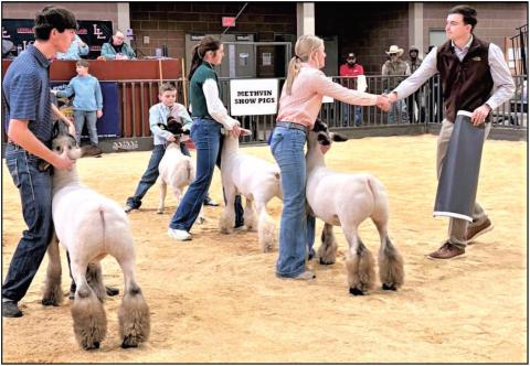 The Levelland FFA Chapter Livestock Show was held this past weekend to give school and local exhibitors a jumpstart in the show pen before the Hockley County Junior Stock Show this coming week. Charley King is shown winning the Grand Champion Lamb. Come out to Mallet Event Center to see all the local livestock exhibitors beginning on Tuesday. (Levelland FFA photo)