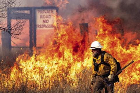 (Photo courtesy of Texas A M Forest Service)