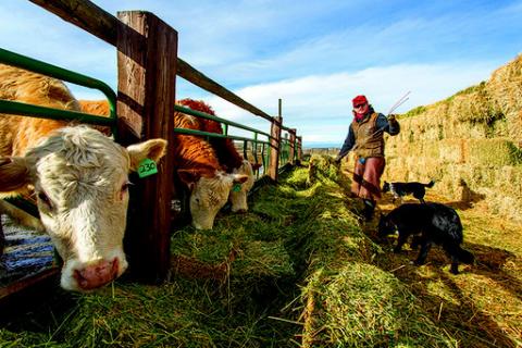 Addressing limited resources in the agricultural sector