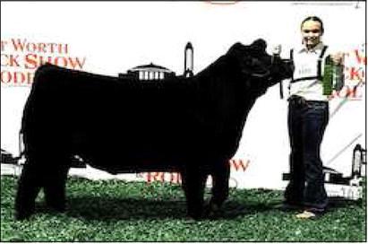 SIXTH PLACE - Smyer Hunter Jeffcoat placed sixth with her Angus at the Ft. Worth Stock Show. (Photo courtesy of Ft. Worth Stockshow)