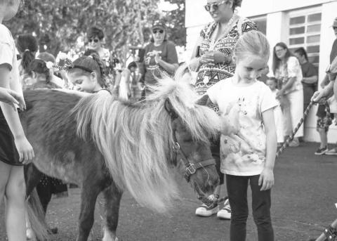 THE MANE ATTRACTION – Pictured is one of the miniature ponies brought by Minis and Friends, Buttercup. Buttercup is 18 years old and was at the event Minis and Friends held by the Hockley County Memorial Library on Wednesday, to show love to the children. Buttercup was accompanied by Snowball. Buttercup is also Snowball’s sight seeing buddy. (Photo by Hannah Woodrum)