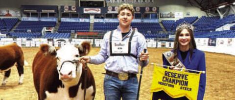 STEER WINNER