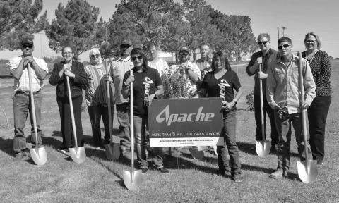 APACHE TREE GRANT
