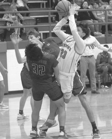 Lady Eagle hoops come home with playoff gold