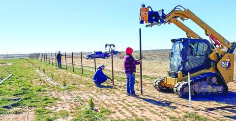NEW CEMETERY FENCING - Over 900 feet of posts were placed for new fencing at the Whiteface Cemetery - Baldwin Addition last week. Pictured is Matt Paterson, his son Caleb, Zac Dewbre, Josh Stroud and Matthew Sinclair getting all the posts in place. (Photo courtesy of Terry Taylor)