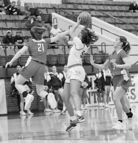SO CLOSE - Sundown Roughette Kadee Riley reached for the ball from Whiteface Lady Lope Tymyah Olenga during the team’s district game this past Friday in Whiteface. (Photo courtesy of Holly Crutcher)