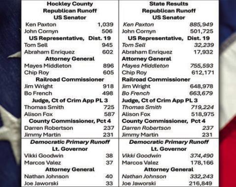 Key nominations emerge after runoffs