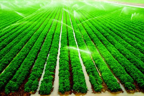 What consumers can do to support local farmers