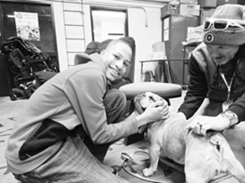 THERAPY DOG 