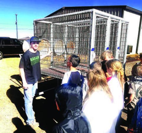 Whitharral FFA held a practice Ag Mechanics show this past week leading into the Hockley County Junior Livestock Show, with numerous chapter students displaying their projects, hard work and preparation for the upcoming competition. The Hockley County Ag Show will be held on Jan. 21 beginning at 1 p.m. at Mallet Event Center.