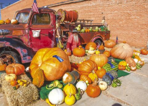 PUMPKIN PATCH – A variety of pumpkins and gourds grown by Cochran County resident Gene Lynskey were arranged and displayed for the season next to the Butterfly Kisses floral shop in Morton. Lynskey hopes to provide seeds to community members from his selection to help bring a community event in the future. (Staff photo by Evin Thomas)