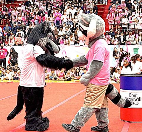 BATTLING FOR THE PINK-- It was packed gym when Keep Levelland Beautiful and Litter Critter joined in for the LHS Pink Out Pep Rally this past Friday in recognition of Breasat Cancer Awareness Month and its victims and survivors. (Levelland ISD photo).