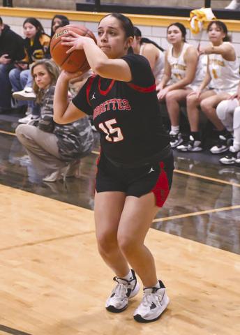 SPOT UP SHOOTER- The sixth ranked Levelland Loboettes continued their district dominance with a road win in Snyder, 67-46, against the Lady Tigers Friday. Loboette Angelica Gonzales finished the game with four points. (Staff Photo by Dom Puente)