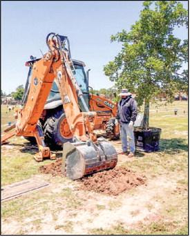 NEW TREES - The City of Levelland Cemetery crew were getting the grounds prepared for new trees Wednesday. The Parks and Cemetery department continually work to add new trees to parks and cemetery’s. (Photo courtesy of the City of Levelland)