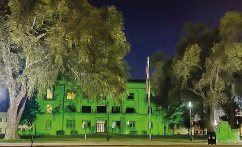 OPERATION GREEN LIGHT