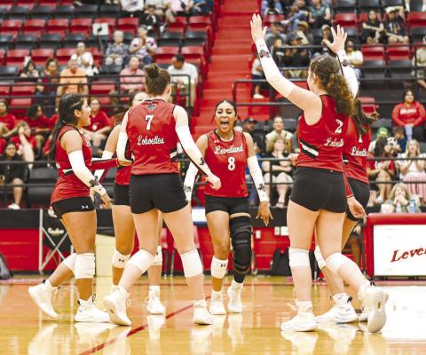 POINT FOR THE LOBOETTES – The Levelland Loboettes huddle up to celebrate after scoring a point during a volleyball game against Plains this past Tuesday at Levelland Highschool. (Staff photo by Jentezen Smith)